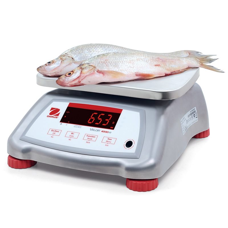 Balança para pesar alimentos Ohaus Valor 4000 1.5kg Aferida